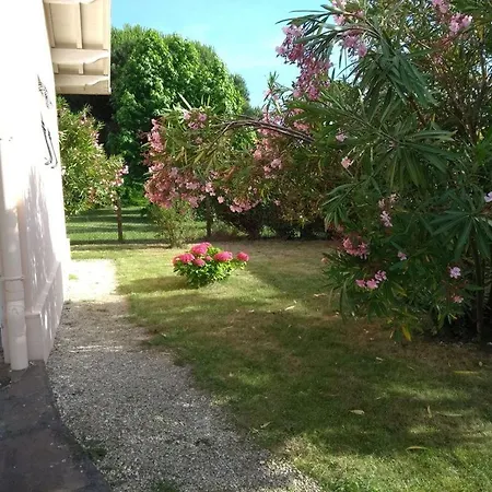 Parisiana *